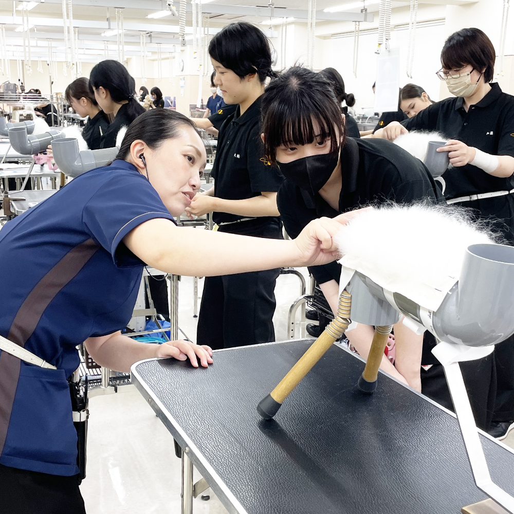 １年生はグルーミングとカット強化☆